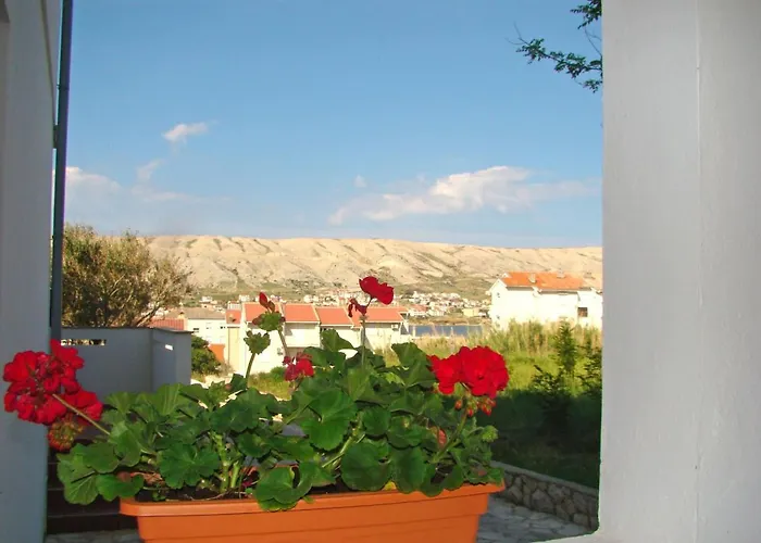 Apartman Pag 13060a *