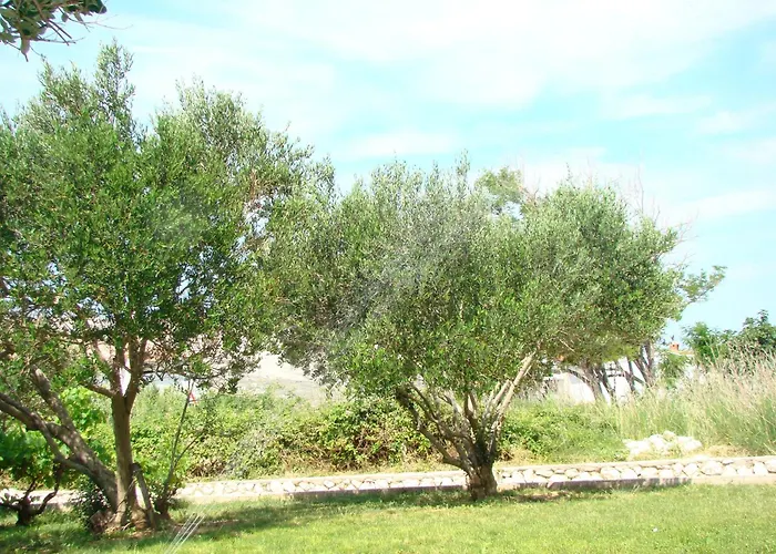 Apartmán Pag 13060a Pag Town